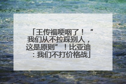 王传福哽咽了！“我们从不拉踩别人，这是原则”！比亚迪：我们不打价格战