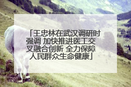 王忠林在武汉调研时强调 加快推进医工交叉融合创新 全力保障人民群众生命健康