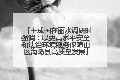 王成国在丽水调研时强调：以更高水平安全和法治环境服务保障山区海岛县高质量发展