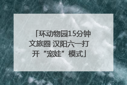 环动物园15分钟文旅圈 汉阳六一打开“宠娃”模式