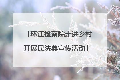 环江检察院走进乡村开展民法典宣传活动