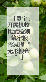 灵宝：开展机收比武检测 筑牢粮食减损“无形粮仓”