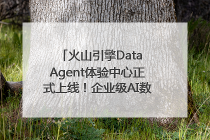 火山引擎Data Agent体验中心正式上线！企业级AI数据专家触手可及