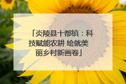 炎陵县十都镇：科技赋能农耕 绘就美丽乡村新画卷