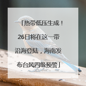 热带低压生成！26日将在这一带沿海登陆，海南发布台风四级预警