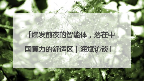 爆发前夜的智能体，落在中国算力的舒适区｜海斌访谈