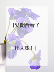 特朗普看了一出大戏！