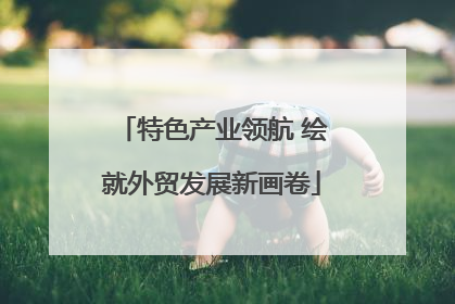 特色产业领航 绘就外贸发展新画卷