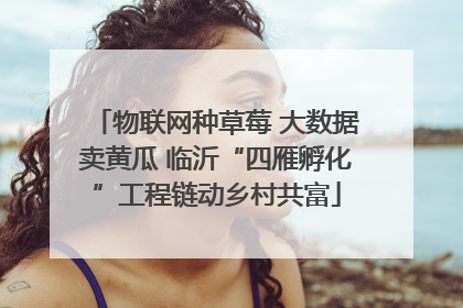 物联网种草莓 大数据卖黄瓜 临沂“四雁孵化”工程链动乡村共富