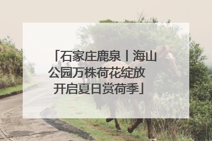 石家庄鹿泉丨海山公园万株荷花绽放 开启夏日赏荷季