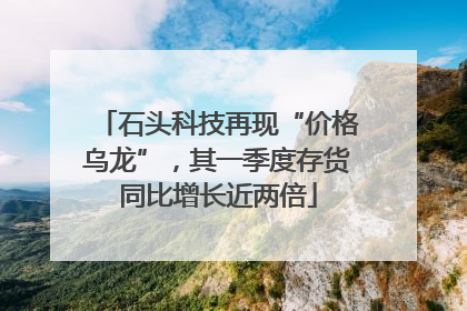石头科技再现“价格乌龙”，其一季度存货同比增长近两倍