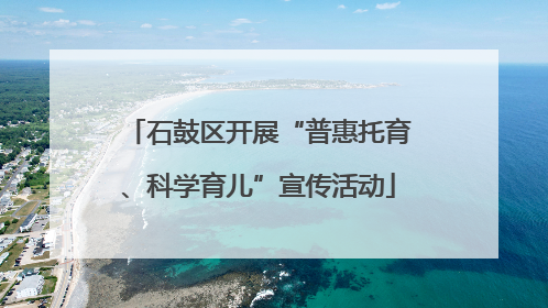 石鼓区开展“普惠托育、科学育儿”宣传活动