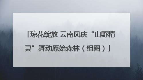 琼花绽放 云南凤庆“山野精灵”舞动原始森林（组图）