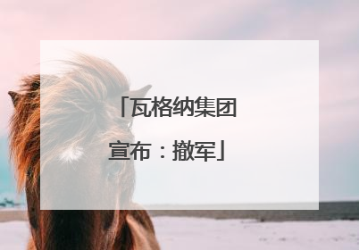 瓦格纳集团宣布：撤军