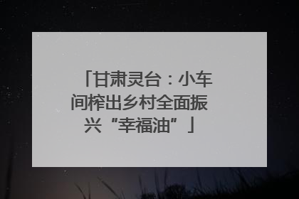 甘肃灵台：小车间榨出乡村全面振兴“幸福油”