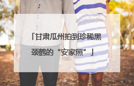 甘肃瓜州拍到珍稀黑颈鹤的“安家照”