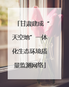 甘肃建成“天空地”一体化生态环境质量监测网络