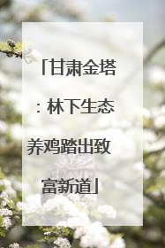 甘肃金塔：林下生态养鸡踏出致富新道