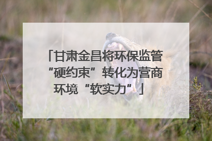 甘肃金昌将环保监管“硬约束”转化为营商环境“软实力”