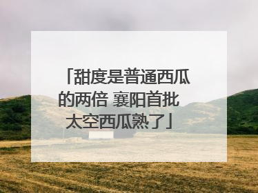 甜度是普通西瓜的两倍 襄阳首批太空西瓜熟了