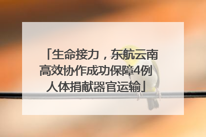 生命接力，东航云南高效协作成功保障4例人体捐献器官运输