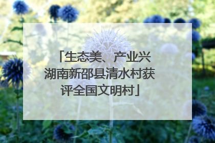 生态美、产业兴 湖南新邵县清水村获评全国文明村