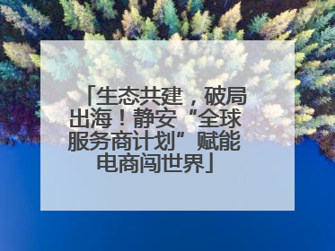 生态共建，破局出海！静安“全球服务商计划”赋能电商闯世界