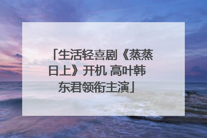 生活轻喜剧《蒸蒸日上》开机 高叶韩东君领衔主演