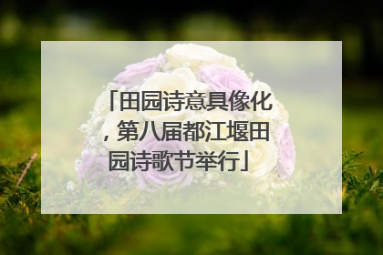 田园诗意具像化，第八届都江堰田园诗歌节举行