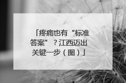 疼痛也有“标准答案”？江西迈出关键一步（图）