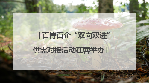 百博百企“双向双进”供需对接活动在蓉举办