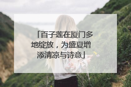 百子莲在厦门多地绽放，为盛夏增添清凉与诗意