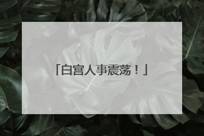 白宫人事震荡！
