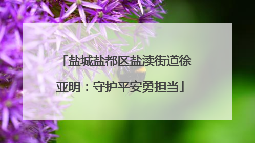 盐城盐都区盐渎街道徐亚明：守护平安勇担当