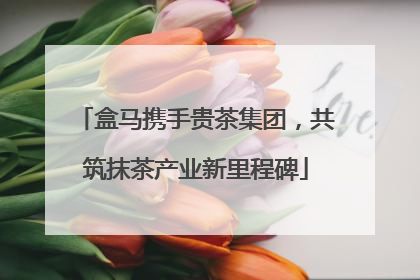 盒马携手贵茶集团，共筑抹茶产业新里程碑
