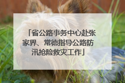 省公路事务中心赴张家界、常德指导公路防汛抢险救灾工作