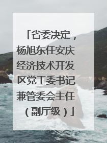 省委决定，杨旭东任安庆经济技术开发区党工委书记兼管委会主任（副厅级）