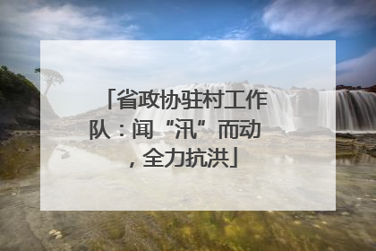 省政协驻村工作队：闻“汛”而动，全力抗洪
