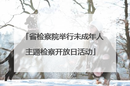 省检察院举行未成年人主题检察开放日活动