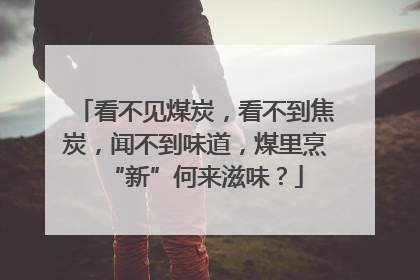 看不见煤炭，看不到焦炭，闻不到味道，煤里烹“新”何来滋味？