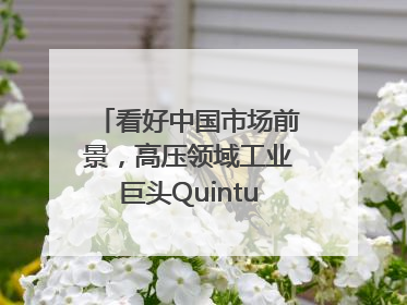 看好中国市场前景，高压领域工业巨头Quintus科技深化本土策略，构建全方位服务亚太区总部