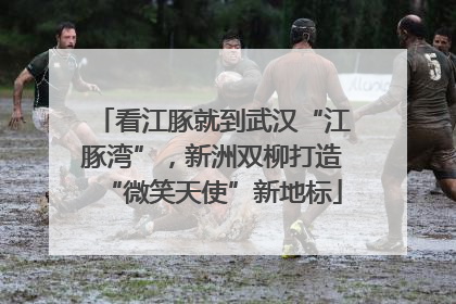 看江豚就到武汉“江豚湾”，新洲双柳打造“微笑天使”新地标