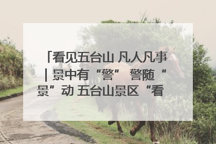 看见五台山 凡人凡事｜景中有“警” 警随“景”动 五台山景区“看得见”的平安守护