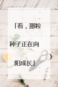 看，那粒种子正在向阳成长