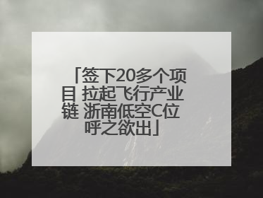 签下20多个项目 拉起飞行产业链 浙南低空C位呼之欲出