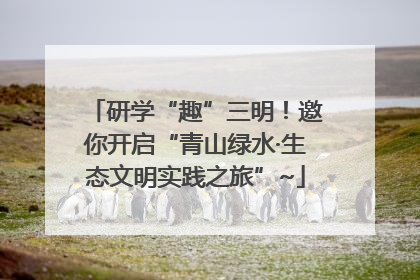 研学“趣”三明！邀你开启“青山绿水·生态文明实践之旅”~