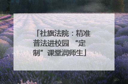 社旗法院：精准普法进校园 “定制”课堂润师生