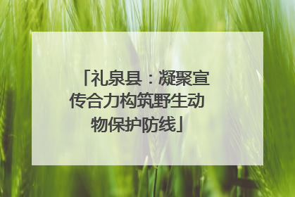 礼泉县：凝聚宣传合力构筑野生动物保护防线