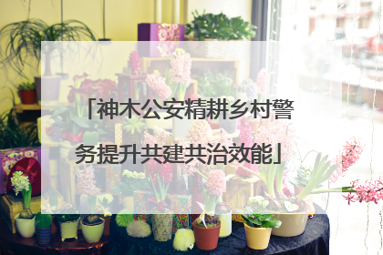 神木公安精耕乡村警务提升共建共治效能