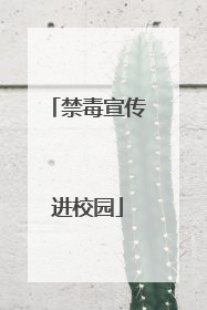 禁毒宣传进校园